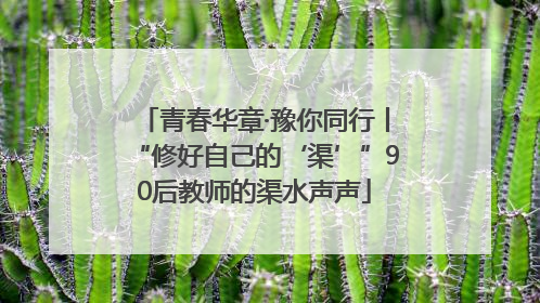 青春华章·豫你同行丨“修好自己的‘渠’”90后教师的渠水声声
