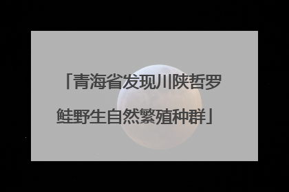 青海省发现川陕哲罗鲑野生自然繁殖种群