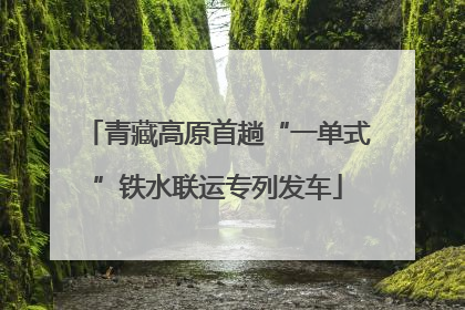 青藏高原首趟“一单式”铁水联运专列发车