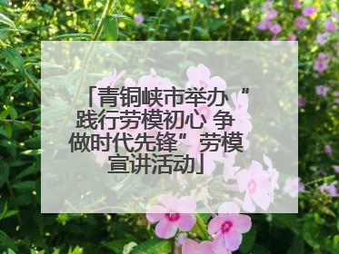 青铜峡市举办“践行劳模初心 争做时代先锋”劳模宣讲活动
