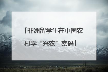 非洲留学生在中国农村学“兴农”密码