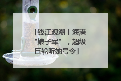 钱江观潮丨海港“娘子军”，超级巨轮听她号令