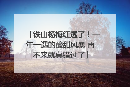 铁山杨梅红透了！一年一遇的酸甜风暴 再不来就真错过了