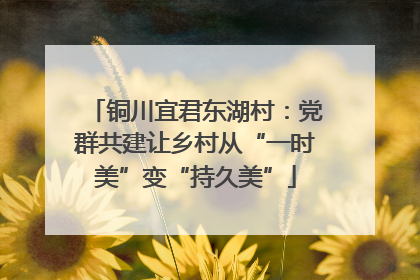 铜川宜君东湖村：党群共建让乡村从“一时美”变“持久美”