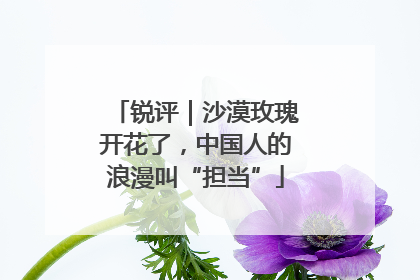 锐评｜沙漠玫瑰开花了，中国人的浪漫叫“担当”