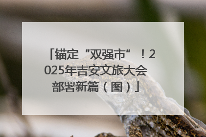 锚定“双强市”！2025年吉安文旅大会部署新篇（图）