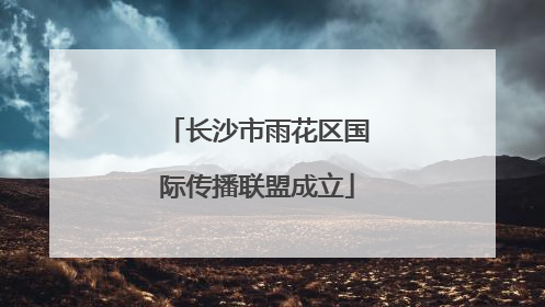 长沙市雨花区国际传播联盟成立