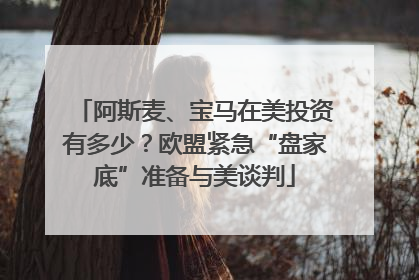 阿斯麦、宝马在美投资有多少？欧盟紧急“盘家底”准备与美谈判