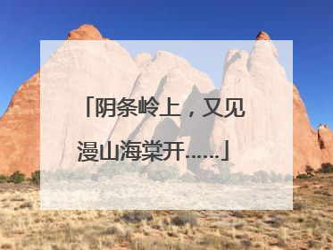 阴条岭上，又见漫山海棠开……