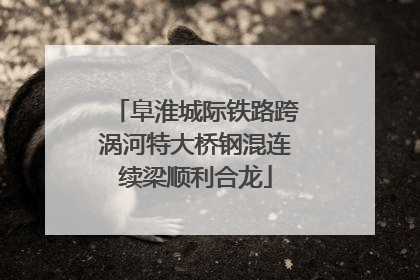 阜淮城际铁路跨涡河特大桥钢混连续梁顺利合龙