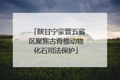 陕甘宁蒙晋五省区聚焦古脊椎动物化石司法保护
