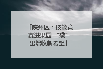 陕州区：技能竞赛进果园 “袋”出增收新希望