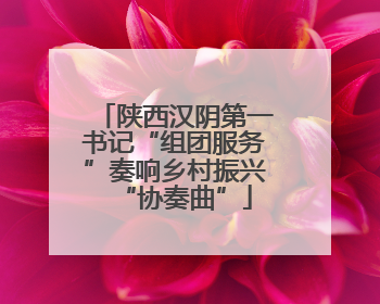 陕西汉阴第一书记“组团服务”奏响乡村振兴“协奏曲”
