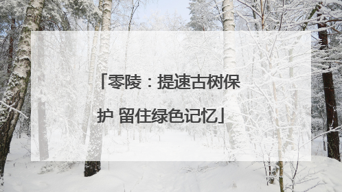 零陵：提速古树保护 留住绿色记忆