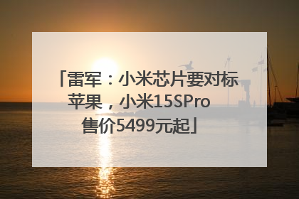 雷军：小米芯片要对标苹果，小米15SPro售价5499元起