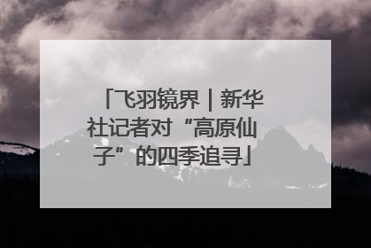 飞羽镜界｜新华社记者对“高原仙子”的四季追寻