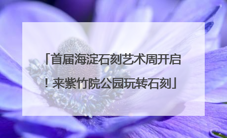 首届海淀石刻艺术周开启！来紫竹院公园玩转石刻