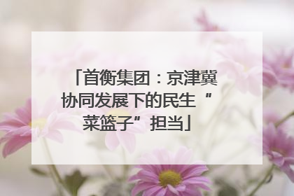 首衡集团：京津冀协同发展下的民生“菜篮子”担当