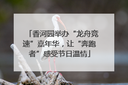 香河园举办“龙舟竞速”嘉年华，让“奔跑者”感受节日温情