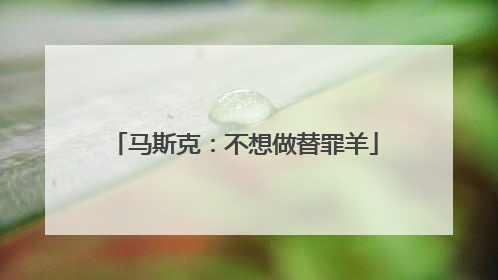 马斯克：不想做替罪羊