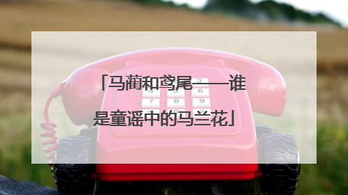 马蔺和鸢尾——谁是童谣中的马兰花