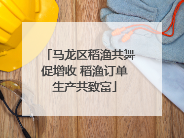 马龙区稻渔共舞促增收 稻渔订单生产共致富