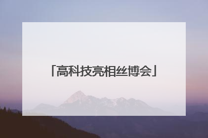 高科技亮相丝博会
