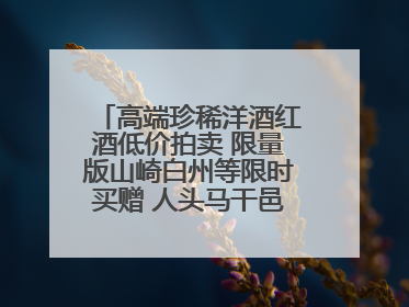 高端珍稀洋酒红酒低价拍卖 限量版山崎白州等限时买赠 人头马干邑1元起拍