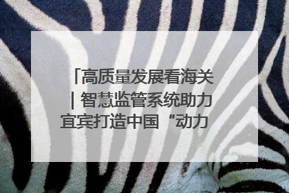 高质量发展看海关｜智慧监管系统助力宜宾打造中国“动力电池之都”