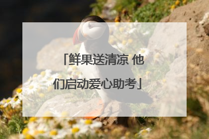 鲜果送清凉 他们启动爱心助考