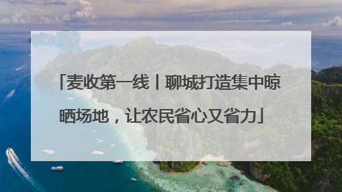 麦收第一线丨聊城打造集中晾晒场地，让农民省心又省力