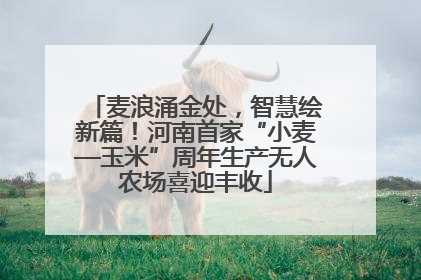 麦浪涌金处，智慧绘新篇！河南首家“小麦—玉米”周年生产无人农场喜迎丰收