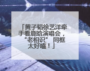 黄子韬徐艺洋牵手看鹿晗演唱会，“老相识” 同框太好嗑！