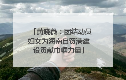 黄晓薇：团结动员妇女为海南自贸港建设贡献巾帼力量