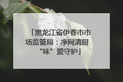黑龙江省伊春市市场监管局：净网清厨 “味”爱守护
