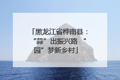 黑龙江省桦南县：“蒜”出振兴路 “园”梦新乡村