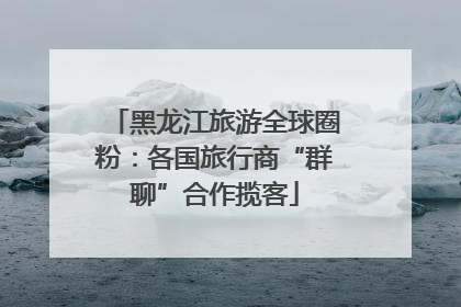 黑龙江旅游全球圈粉：各国旅行商“群聊”合作揽客