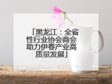 黑龙江：全省性行业协会商会助力伊春产业高质量发展