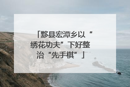 黟县宏潭乡以“绣花功夫”下好整治“先手棋”