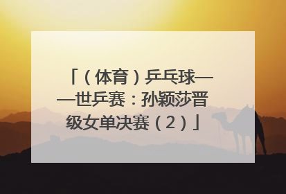 （体育）乒乓球——世乒赛：孙颖莎晋级女单决赛（2）