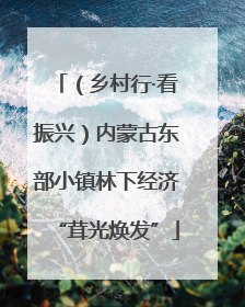 （乡村行·看振兴）内蒙古东部小镇林下经济“茸光焕发”