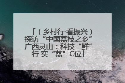 （乡村行·看振兴）探访“中国荔枝之乡”广西灵山：科技“鲜”行 实“荔”C位