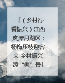 （乡村行·看振兴）江西鹰潭月湖区：杨梅压枝迎客来 乡村振兴添“梅”景