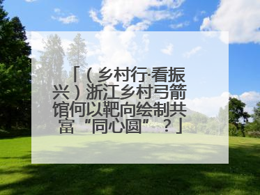 （乡村行·看振兴）浙江乡村弓箭馆何以靶向绘制共富“同心圆”？