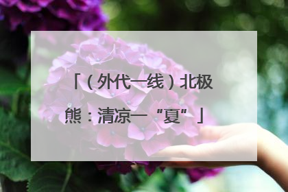 （外代一线）北极熊：清凉一“夏”