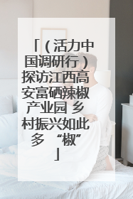 （活力中国调研行）探访江西高安富硒辣椒产业园 乡村振兴如此多 “椒”