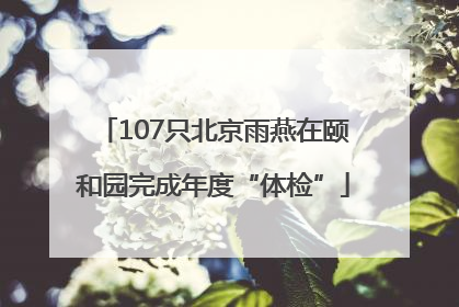 107只北京雨燕在颐和园完成年度“体检”