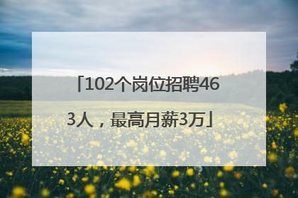 102个岗位招聘463人，最高月薪3万