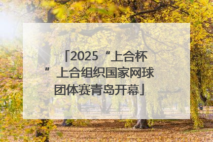 2025“上合杯”上合组织国家网球团体赛青岛开幕