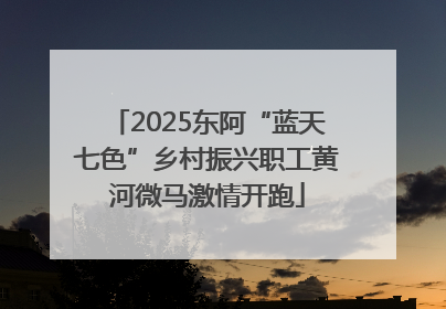2025东阿“蓝天七色”乡村振兴职工黄河微马激情开跑
